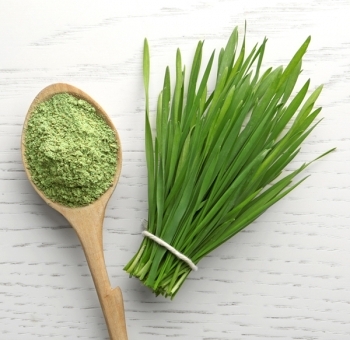 Add Boosters – Wheatgrass Probiotic