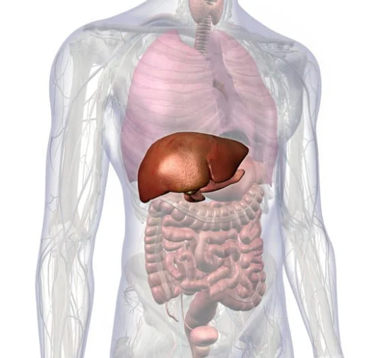 Do you suffer from a sluggish liver?